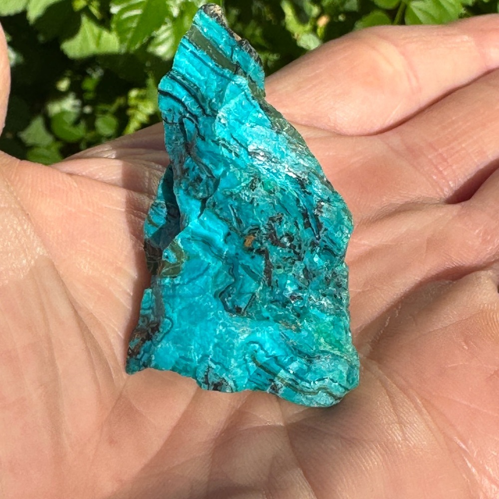 Chilean Blue Opal 1oz - Picture 3 of 5